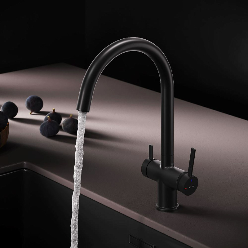 Смеситель для кухни AM.PM Func F8F07722 высокий с C-изливом с каналом для питьевой воды, черный