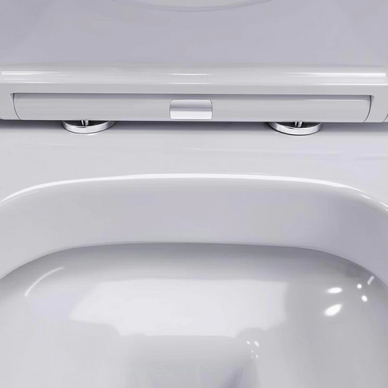 Унитаз подвесной Damixa Sirius DX86C1700SC безободковый с сиденьем микролифт, белый