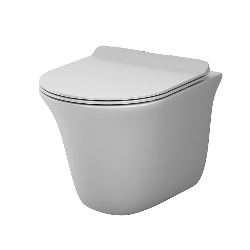 Унитаз подвесной AM.PM Force C9F1700LMSC безободковый с сиденьем микролифт, белый