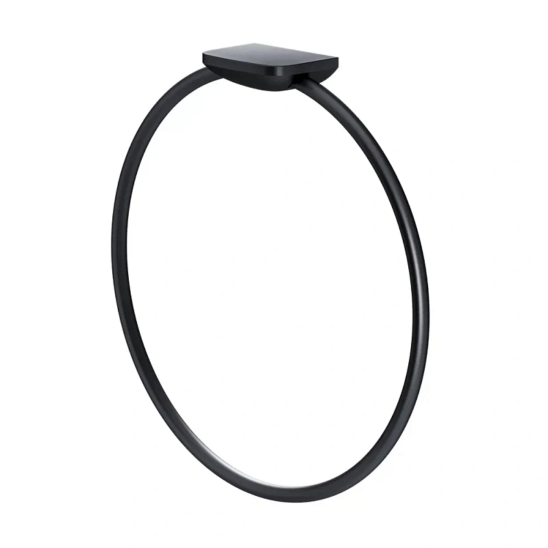 Кольцо для полотенец AM.PM Inspire 2.0 A50A34422 черное