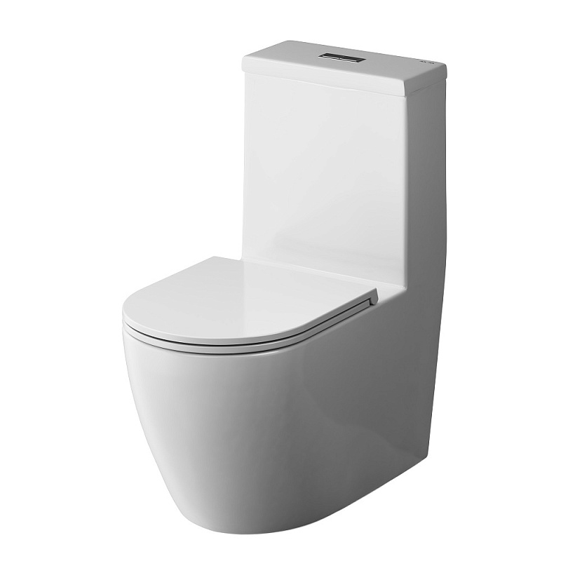 Унитаз напольный AM.PM Func C8F8900SC безободковый с сиденьем микролифт, белый