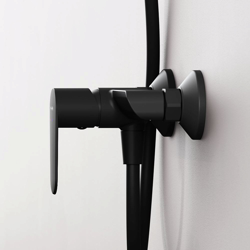 Смеситель для душа AM.PM Above F9X20022 черный