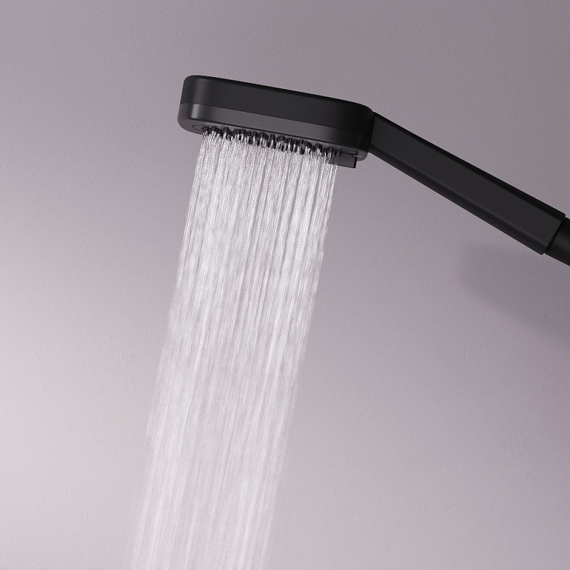 Лейка для душа AM.PM Above W F029W022 черная