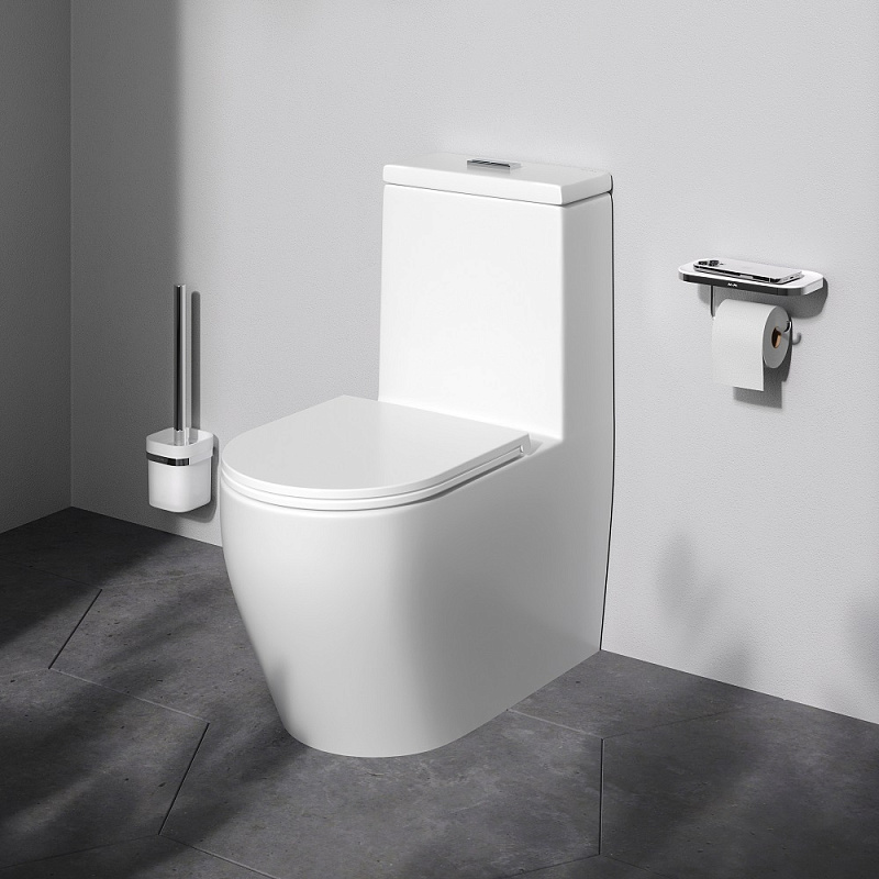 Унитаз напольный AM.PM Func C8F8900SC безободковый с сиденьем микролифт, белый