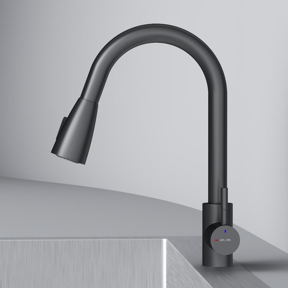 Смеситель для кухни с вытягивающимся изливом, черный X-Joy S F85B07522, Черный