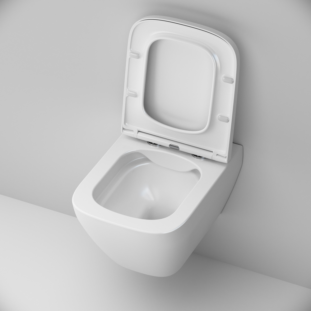 Унитаз подвесной FlashClean с сиденьем микролифт Spirit V2.0 C701701SC, Белый