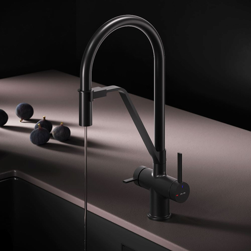 Смеситель для кухни AM.PM Func F8F07822 высокий, черный с каналом для питьевой воды и гибким черным изливом