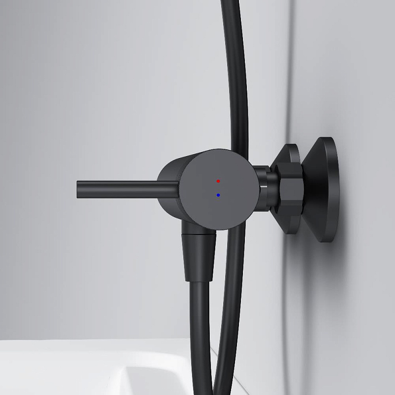 Смеситель для душа AM.PM Libre F6020022 черный