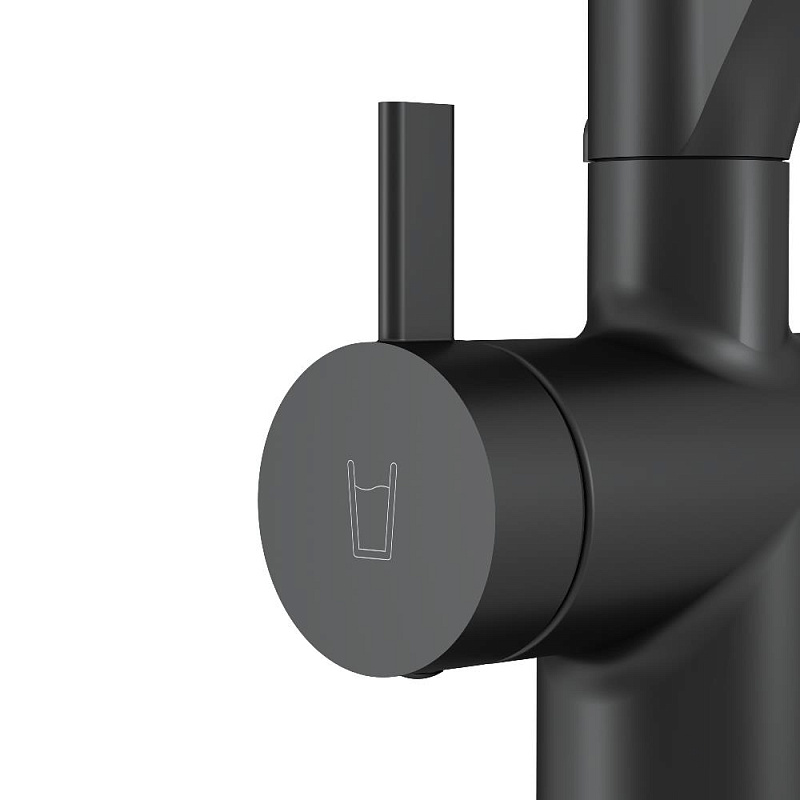 Смеситель для кухни AM.PM Func F8F07822 высокий, черный с каналом для питьевой воды и гибким черным изливом