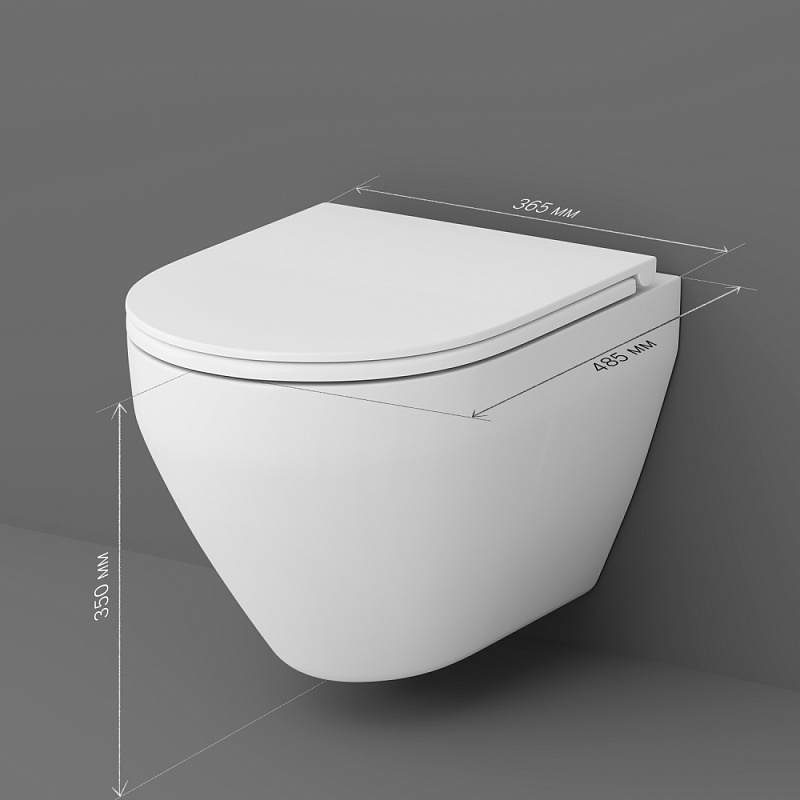Унитаз подвесной AM.PM Spirit V2.0 C701700SC безободковый с сиденьем микролифт, белый