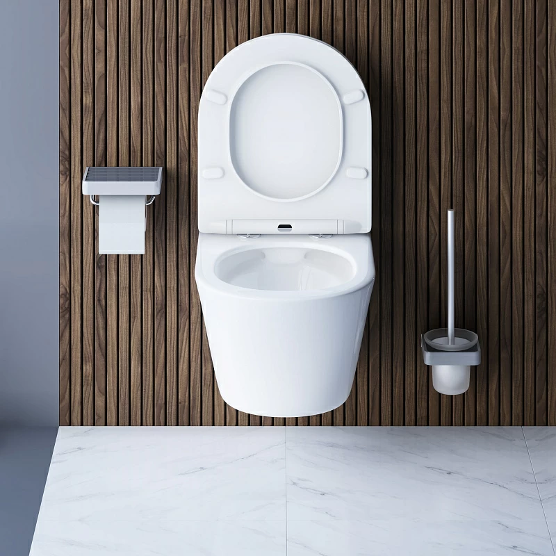 Унитаз подвесной Damixa Skyline DX35C1700SC безободковый с сиденьем микролифт, белый