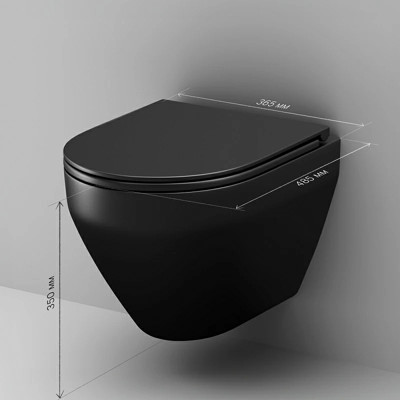 Унитаз подвесной AM.PM Spirit 2.0 C701700MBSC безободковый с сиденьем микролифт, черный матовый
