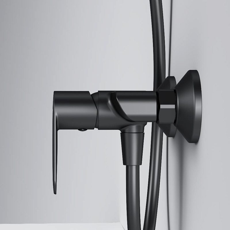 Смеситель для душа AM.PM Above F9X20022 черный