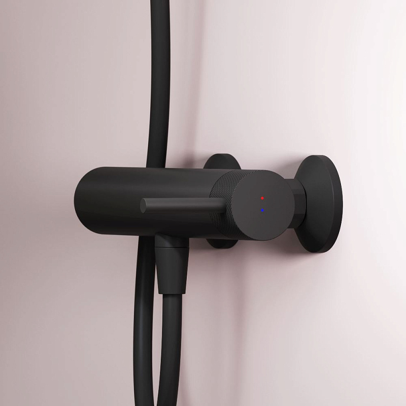 Смеситель для душа AM.PM Libre F6020022 черный