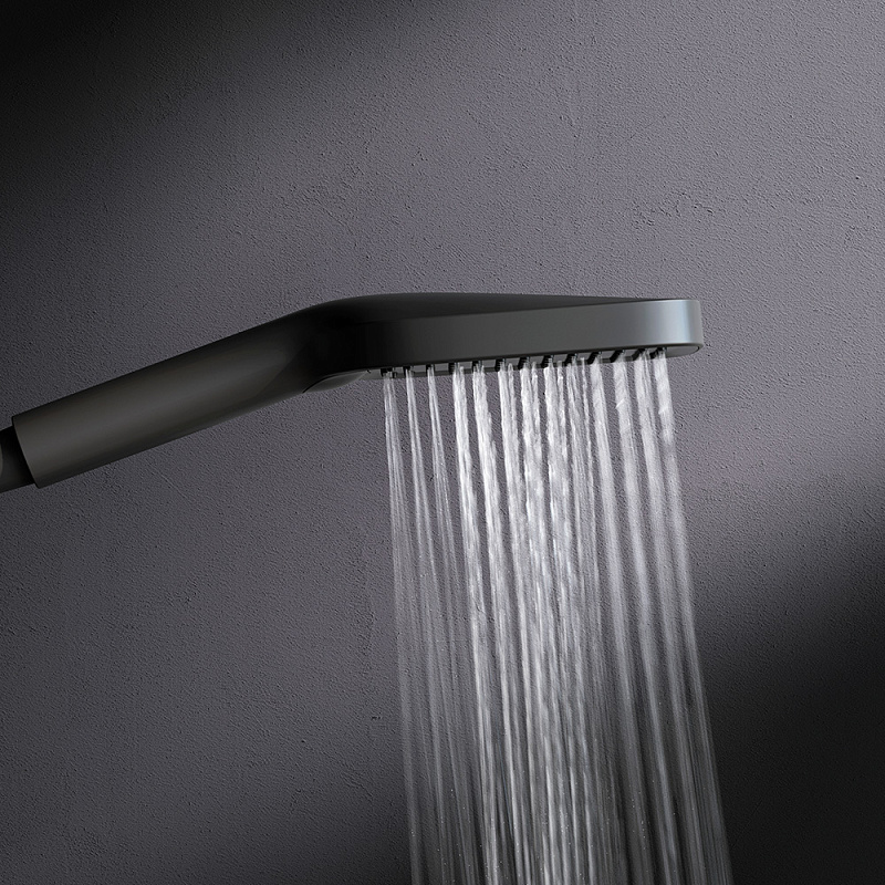 Лейка для душа AM.PM Func F028F022 черная