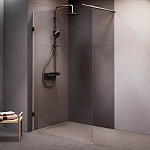 Душевая перегородка 120x195 см X-Joy W94WI-120-F1-BTE, Черный, прозрачное