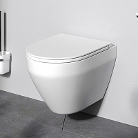 Унитаз подвесной FlashClean с сиденьем микролифт Spirit V2.0 C701700SC, Белый