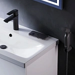 Смеситель для раковины с гигиеническим душем Gem F90A03022, Черный